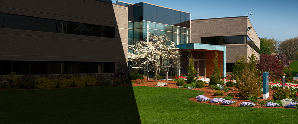 Boca Raton Landscapers