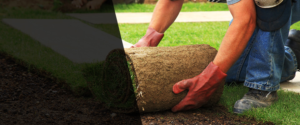 Boca Raton Landscapers